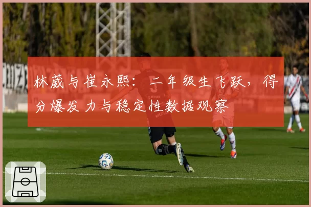林葳与崔永熙:二年级生飞跃,得分爆发力与稳定性数据观察