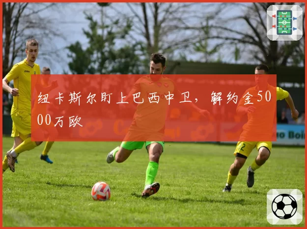 纽卡斯尔盯上巴西中卫，解约金5000万欧
